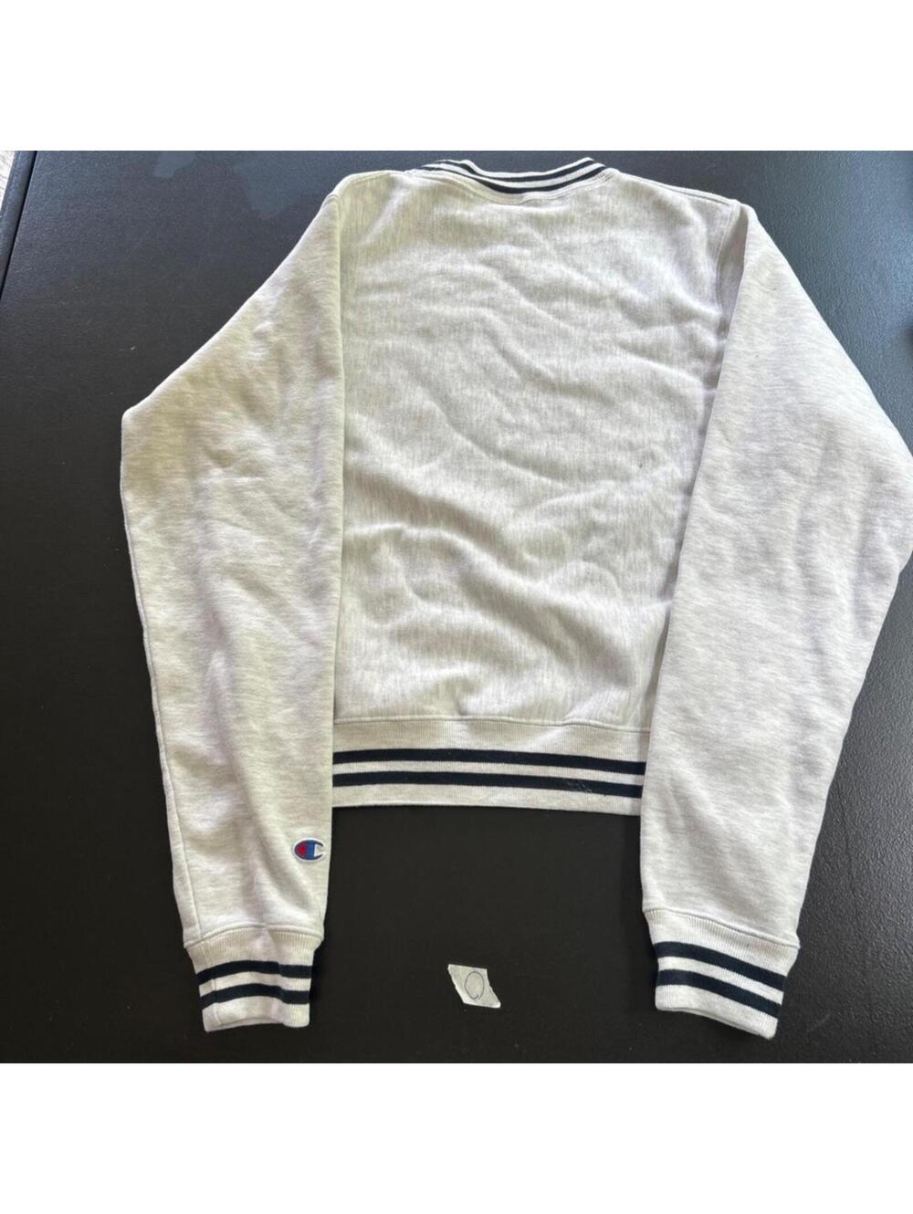 Vintage Champion Reverse Weave Holy Cross Striped Crewneck View 4